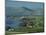 Tabgha, Sea of Galilee, Israel, Middle East-Simanor Eitan-Mounted Photographic Print