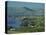 Tabgha, Sea of Galilee, Israel, Middle East-Simanor Eitan-Stretched Canvas