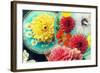 Table Decoration, Coloured Blossoms and Water Bowl-Alaya Gadeh-Framed Photographic Print