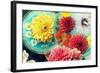 Table Decoration, Coloured Blossoms and Water Bowl-Alaya Gadeh-Framed Photographic Print