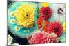 Table Decoration, Coloured Blossoms and Water Bowl-Alaya Gadeh-Mounted Photographic Print