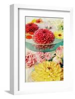 Table Decoration, Coloured Blossoms and Water Bowl-Alaya Gadeh-Framed Photographic Print