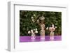 Table decoration, glass vases, globe thistles, coloured,-mauritius images-Framed Photographic Print