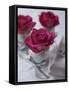 Table Decoration of Red Roses in Glasses-Michael Paul-Framed Stretched Canvas