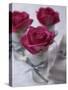 Table Decoration of Red Roses in Glasses-Michael Paul-Stretched Canvas