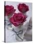 Table Decoration of Red Roses in Glasses-Michael Paul-Stretched Canvas