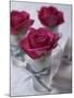 Table Decoration of Red Roses in Glasses-Michael Paul-Mounted Photographic Print
