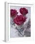 Table Decoration of Red Roses in Glasses-Michael Paul-Framed Photographic Print