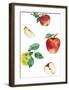 Table Harvest - Apple-Loft Studio-Framed Giclee Print