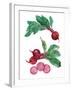 Table Harvest - Beetroot-Loft Studio-Framed Giclee Print