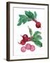 Table Harvest - Beetroot-Loft Studio-Framed Giclee Print