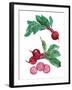 Table Harvest - Beetroot-Loft Studio-Framed Giclee Print