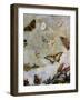 Table : L'Air-Giuseppe Zocchi-Framed Giclee Print