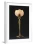 Table Lamp "Waterlily" Model Created Circa 1902-1904-Louis Majorelle-Framed Giclee Print