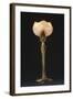 Table Lamp "Waterlily" Model Created Circa 1902-1904-Louis Majorelle-Framed Giclee Print