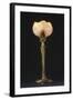 Table Lamp "Waterlily" Model Created Circa 1902-1904-Louis Majorelle-Framed Giclee Print