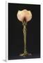 Table Lamp "Waterlily" Model Created Circa 1902-1904-Louis Majorelle-Framed Giclee Print