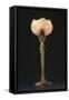 Table Lamp "Waterlily" Model Created Circa 1902-1904-Louis Majorelle-Framed Stretched Canvas