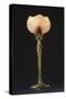 Table Lamp "Waterlily" Model Created Circa 1902-1904-Louis Majorelle-Stretched Canvas