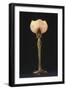 Table Lamp "Waterlily" Model Created Circa 1902-1904-Louis Majorelle-Framed Premium Giclee Print