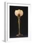Table Lamp "Waterlily" Model Created Circa 1902-1904-Louis Majorelle-Framed Premium Giclee Print
