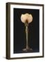 Table Lamp "Waterlily" Model Created Circa 1902-1904-Louis Majorelle-Framed Giclee Print