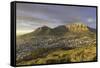 Table Mountain at dawn, Cape Town, Western Cape, South Africa, Africa-Ian Trower-Framed Stretched Canvas