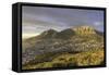 Table Mountain at dawn, Cape Town, Western Cape, South Africa, Africa-Ian Trower-Framed Stretched Canvas