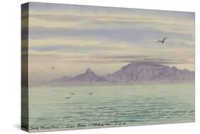 Table Mountain, Cape Town, 4 Oct, 1901-Edward Adrian Wilson-Stretched Canvas