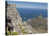 Table Mountain National Park Cableway Aerial Tram and Station, Cape Town, South Africa-Cindy Miller Hopkins-Stretched Canvas