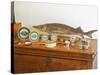 Table of Fish, Caviar, Tins, Glass Jars with Pate-Per Karlsson-Stretched Canvas