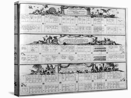 Table of the Species, 1765-Athanasius Kircher-Stretched Canvas