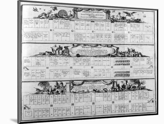 Table of the Species, 1765-Athanasius Kircher-Mounted Giclee Print