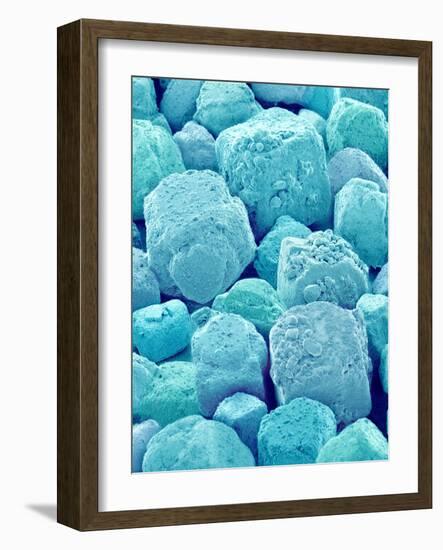 Table Salt-Micro Discovery-Framed Photographic Print