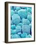 Table Salt-Micro Discovery-Framed Photographic Print