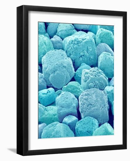 Table Salt-Micro Discovery-Framed Photographic Print