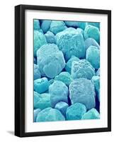 Table Salt-Micro Discovery-Framed Photographic Print