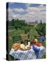 Table Set with a Picnic Lunch in a Vineyard in Aquitaine, France, Europe-Michael Busselle-Stretched Canvas