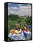 Table Set with a Picnic Lunch in a Vineyard in Aquitaine, France, Europe-Michael Busselle-Framed Stretched Canvas