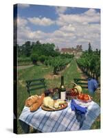 Table Set with a Picnic Lunch in a Vineyard in Aquitaine, France, Europe-Michael Busselle-Stretched Canvas