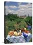 Table Set with a Picnic Lunch in a Vineyard in Aquitaine, France, Europe-Michael Busselle-Stretched Canvas