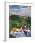 Table Set with a Picnic Lunch in a Vineyard in Aquitaine, France, Europe-Michael Busselle-Framed Photographic Print