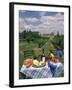 Table Set with a Picnic Lunch in a Vineyard in Aquitaine, France, Europe-Michael Busselle-Framed Photographic Print