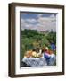 Table Set with a Picnic Lunch in a Vineyard in Aquitaine, France, Europe-Michael Busselle-Framed Photographic Print