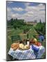 Table Set with a Picnic Lunch in a Vineyard in Aquitaine, France, Europe-Michael Busselle-Mounted Photographic Print