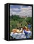 Table Set with a Picnic Lunch in a Vineyard in Aquitaine, France, Europe-Michael Busselle-Framed Stretched Canvas