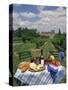 Table Set with a Picnic Lunch in a Vineyard in Aquitaine, France, Europe-Michael Busselle-Stretched Canvas