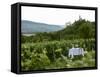 Table with Champagne Glasses in Vineyard in Champagne-Joerg Lehmann-Framed Stretched Canvas