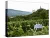 Table with Champagne Glasses in Vineyard in Champagne-Joerg Lehmann-Stretched Canvas