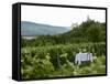 Table with Champagne Glasses in Vineyard in Champagne-Joerg Lehmann-Framed Stretched Canvas